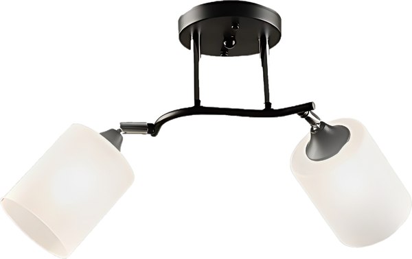 Потолочный светильник Aitin-Pro НПБ 02-2x60-101 / K2316/2 - фото