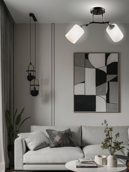 Потолочный светильник Aitin-Pro НПБ 02-2x60-101 / K2316/2