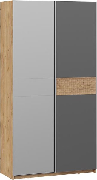 Шкаф-купе ТриЯ Оскар Скания Т2 1200 / 268583 - фото