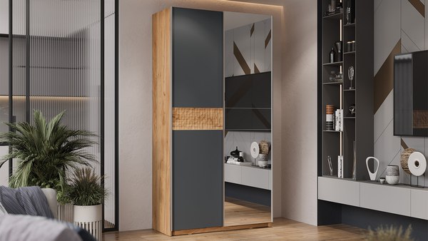 Шкаф-купе ТриЯ Оскар Скания Т2 1200 / 268583