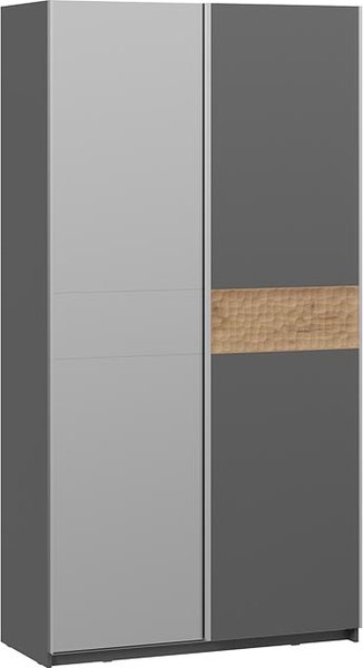 Шкаф-купе ТриЯ Оскар Скания Т2 1200 / 268587 - фото