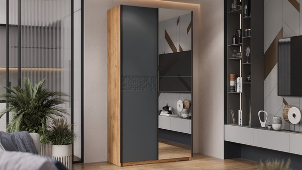 Шкаф-купе ТриЯ Оскар Скания Т2 1200 / 268594