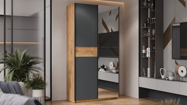 Шкаф-купе ТриЯ Оскар Скания Т2 1200 / 268595