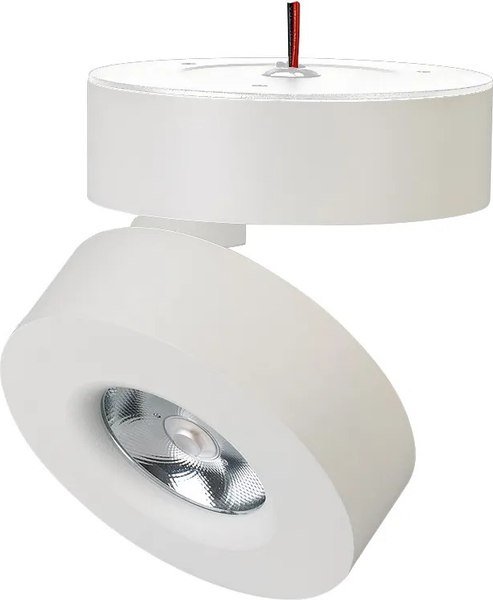 Спот Arlight SP-MONA-SURFACE-R100-12W Day4000 WH 24deg / 025439(1) - фото