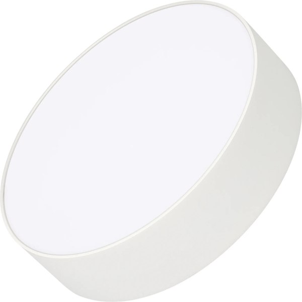 Потолочный светильник Arlight SP-RONDO-R210-20W Day4000 WH 120deg / 022230(2) - фото