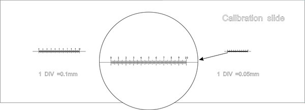 Калибровочный слайд Magus CS3 0.01/0.05/0.1 / 82242 - фото