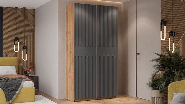 Шкаф-купе ТриЯ Оскар Хилтон Т2 1200 / 271017