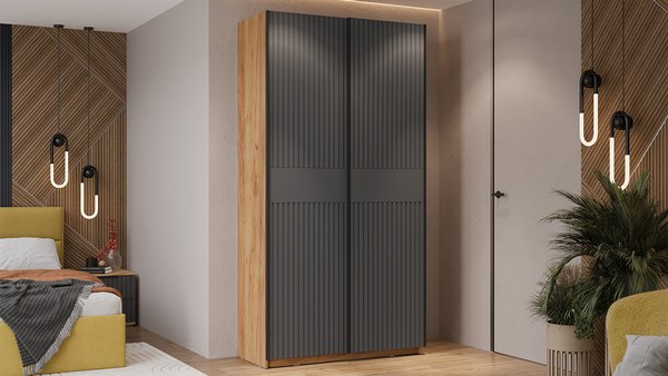 Шкаф-купе ТриЯ Оскар Хилтон Т2 1200 / 271023