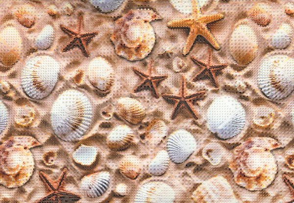 Коврик для ванной Вилина Впечатление. Ракушки / 7214 - фото