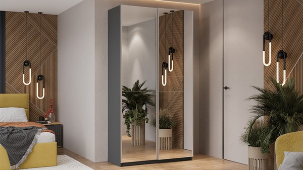 Шкаф-купе ТриЯ Оскар Т2 1200 / 271153