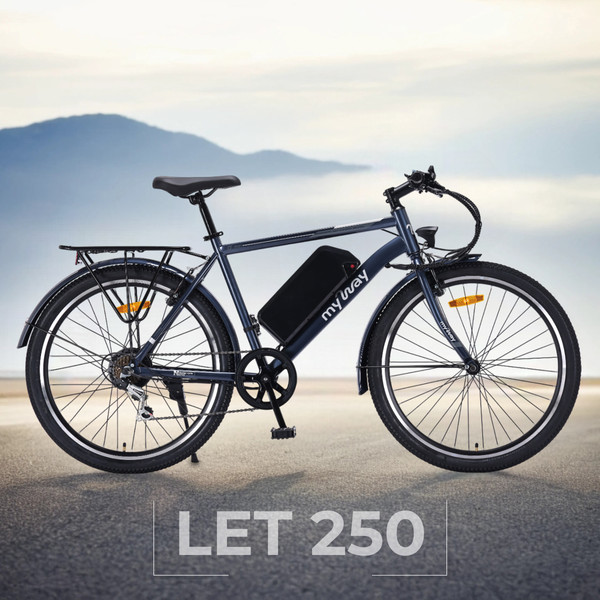 Электровелосипед MyWay Let 1.0 250 26 Pro