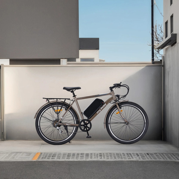 Электровелосипед MyWay Let 1.0 250 26 Pro