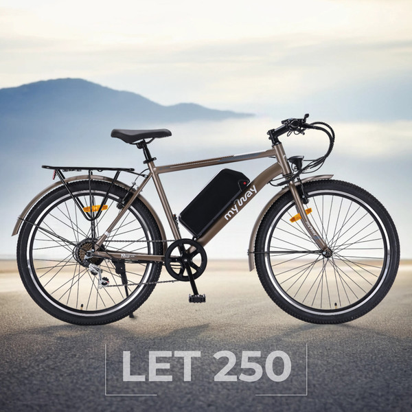 Электровелосипед MyWay Let 1.0 250 26 Pro