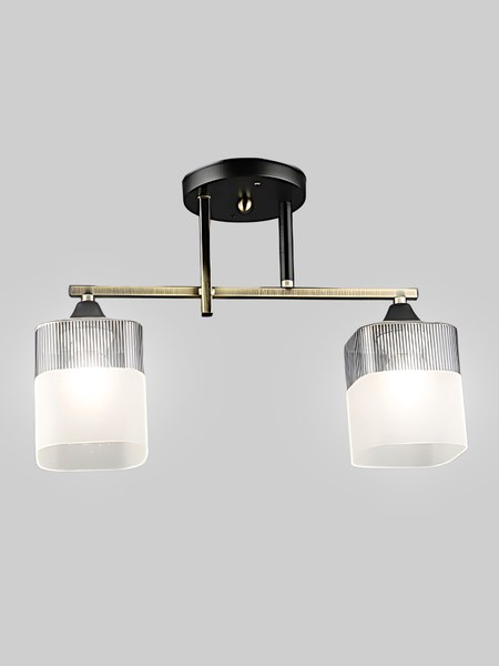 Потолочный светильник Aitin-Pro НПБ 02-2x60-101 / A4425/2