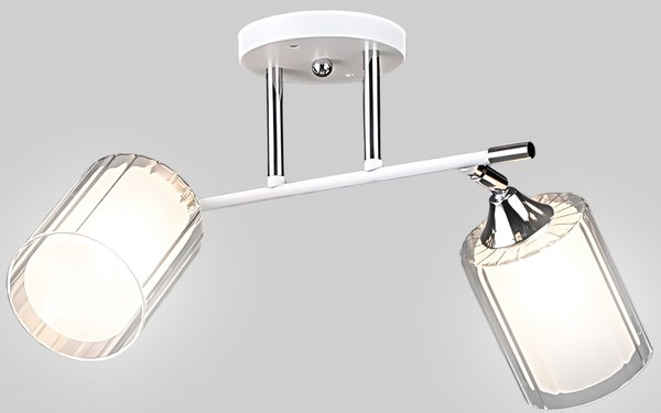 Спот Aitin-Pro НПБ 02-2x60-101 / N6407/2 - фото