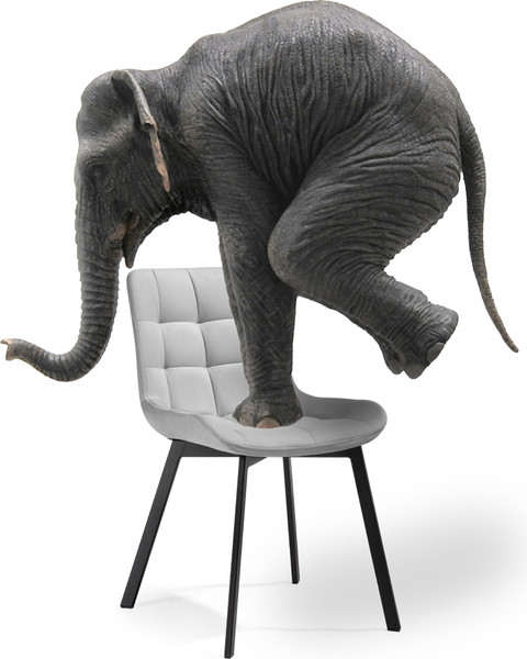 Набор стульев Notta Стронг / 598146