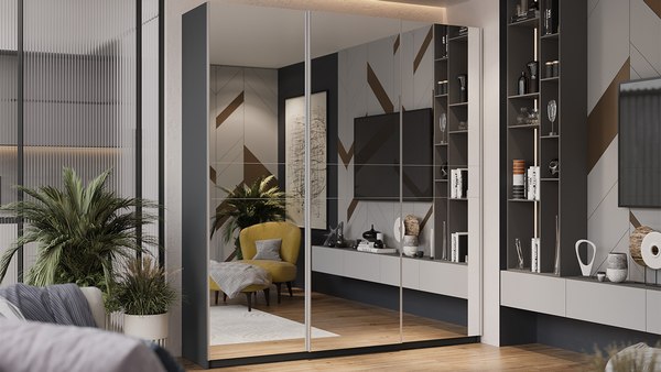 Шкаф-купе ТриЯ Оскар Т2 2100 / 271177