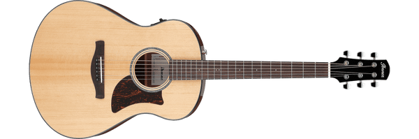 Электроакустическая гитара Ibanez AAM100E-NT