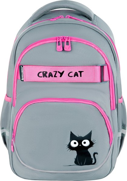 Школьный рюкзак Brauberg Motion. Crazy Cat / 273115 - фото