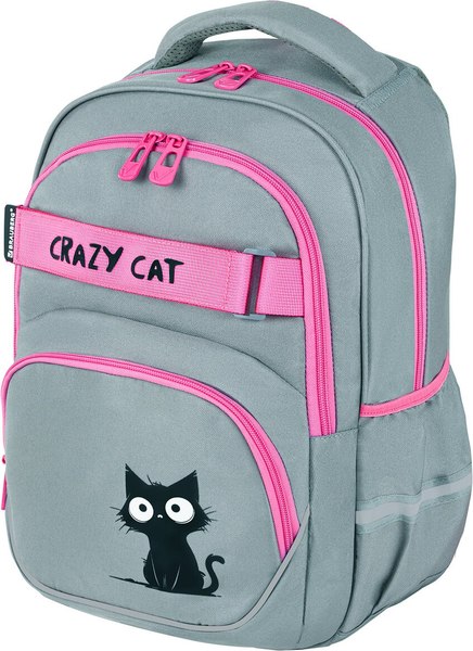 Школьный рюкзак Brauberg Motion. Crazy Cat / 273115