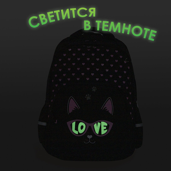 Школьный рюкзак Brauberg Soft. Cool Cat / 273118