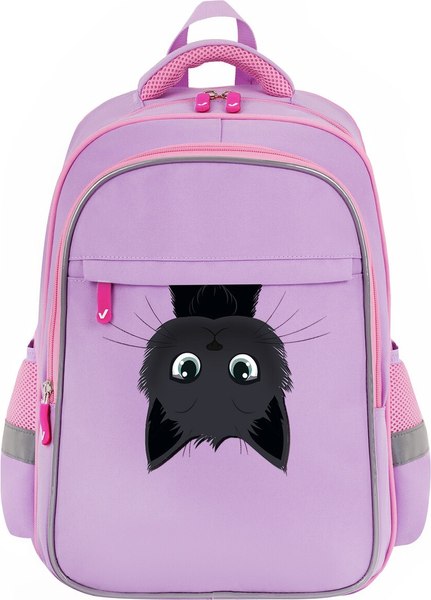 Школьный рюкзак Brauberg Favour. Hide And Seek / 273122