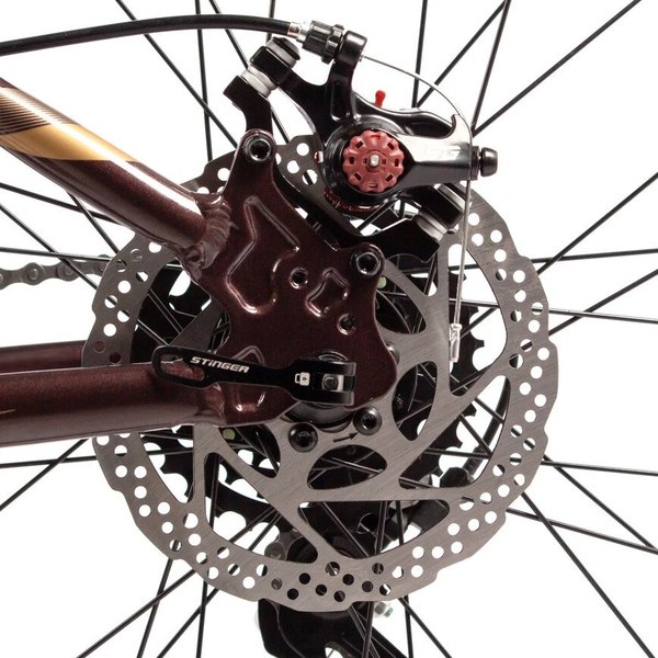 Велосипед Stinger Laguna 26 / 26AHD.LAGUNA.SMVT5