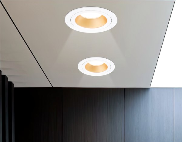 Точечный светильник Ambrella TN102823 WH/GD