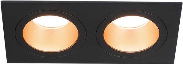 Точечный светильник Ambrella TN102833/2 BK/GD - фото