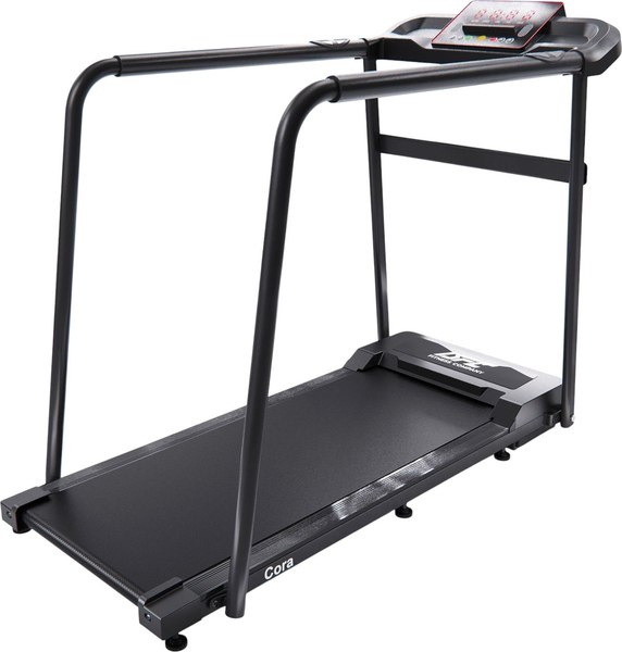 Электрическая беговая дорожка DFC Cora T165 - фото