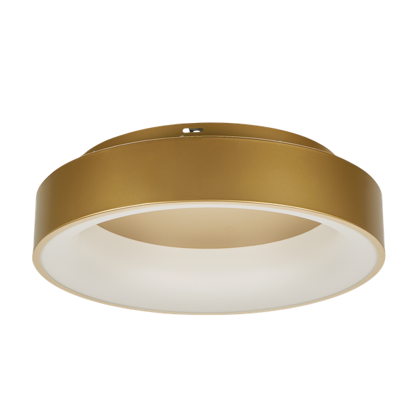 Потолочный светильник MyFar Shannon MR2195-1PL - фото