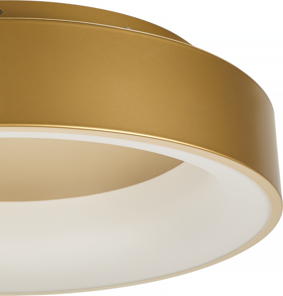 Потолочный светильник MyFar Shannon MR2195-1PL