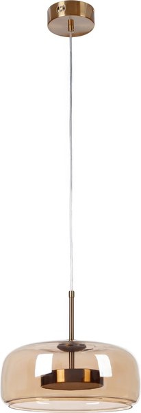 Потолочный светильник MyFar Charlie MR2130-1PL - фото