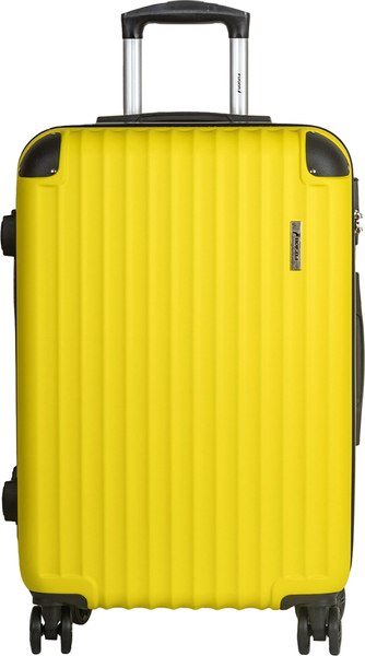 Чемодан на колесах FUSION Electronics FTS-1001-S - фото