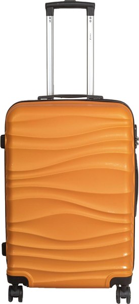 Чемодан на колесах FUSION Electronics FTS-1006-S - фото