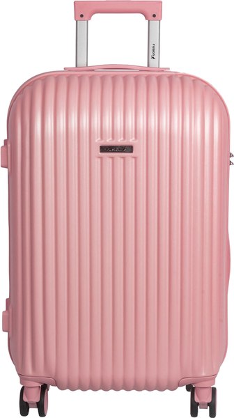 Чемодан на колесах FUSION Electronics FTS-1009-L - фото