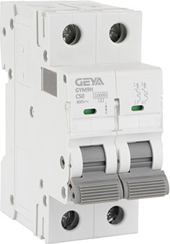 Выключатель автоматический Geya GYM9H-2P-50C - фото