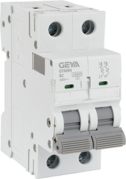 Выключатель автоматический Geya GYM9H-2P-2B - фото