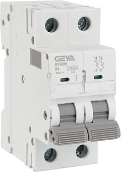 Выключатель автоматический Geya GYM9H-2P-4B - фото