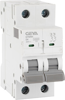 Выключатель автоматический Geya GYM9H-2P-4D - фото