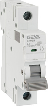 Выключатель автоматический Geya GYM9H-1P-2B - фото