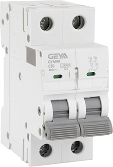 Выключатель автоматический Geya GYM9H-2P-20C - фото