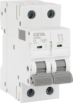 Выключатель автоматический Geya GYM9H-2P-2D - фото