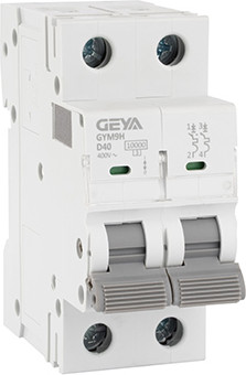 Выключатель автоматический Geya GYM9H-2P-40D - фото