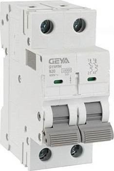 Выключатель автоматический Geya GYM9H-2P-63C - фото