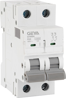 Выключатель автоматический Geya GYM9H-2P-10D - фото
