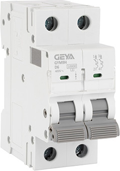 Выключатель автоматический Geya GYM9H-2P-6D - фото