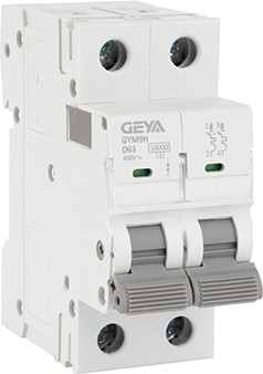 Выключатель автоматический Geya GYM9H-2P-63D - фото