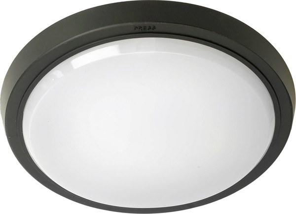 Светильник ЖКХ Feron AL3020 / 51476 - фото