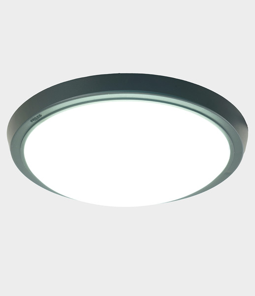 Светильник ЖКХ Feron AL3020 / 51476